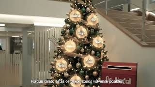 "O eco dos soños" - Vídeo Nadal 2025