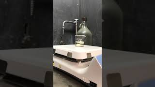 Dr. Js Lab Sample 10-C