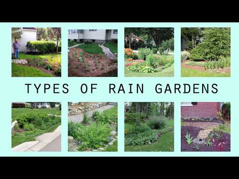 Rain Gardens 101, Part Two: Types of Rain Gardens