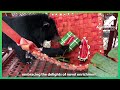 Goodbye Our Dear Moon Bear Thang Long