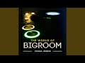 The world of bigroom