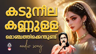കടുനീല കണ്ണുള്ള മൊഞ്ചത്തിക്കെന്തുണ്ട് | Kaduneela | Mailanchi Pattukal Malayalam | Vilayil Faseela |