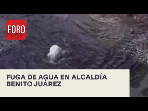 Denuncian fuga de agua en la alcaldía Benito Juárez, CDMX - Las Noticias