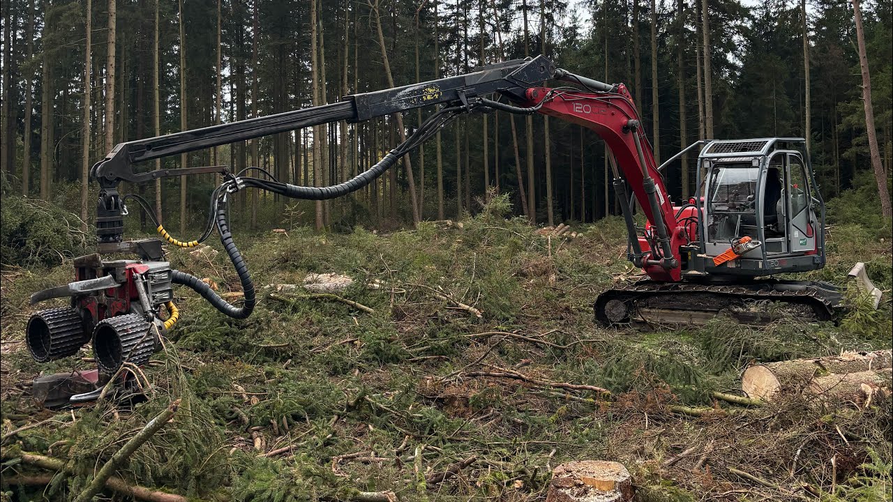 Borkenkäfer Kahlschlag mit Neuson 12002 und Logmax 5000
