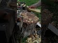 #woodworking  обтесать ложку это пятиминутное дело