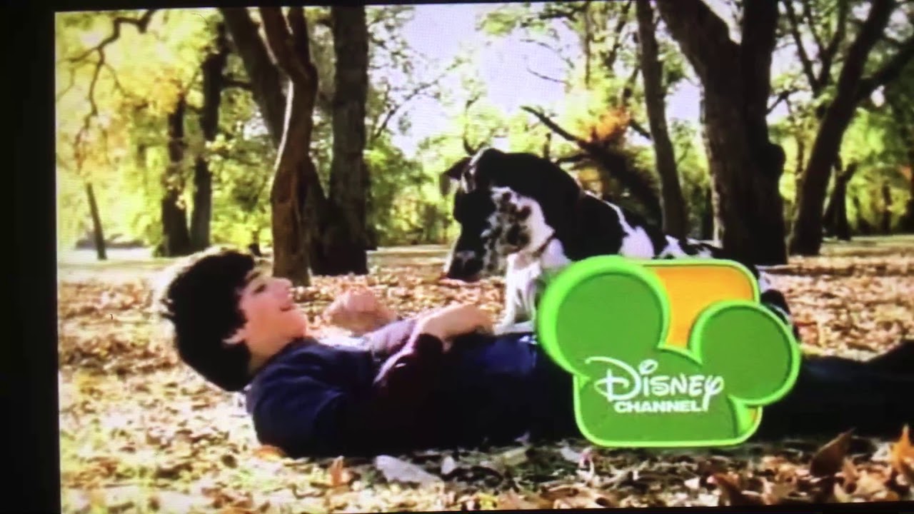 Fish Hooks Bumpers Autumn 2011 2 YouTube