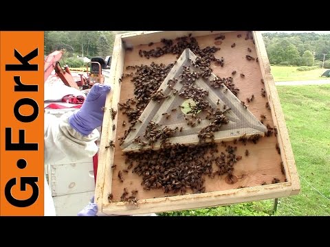 Great For Harvesting Honey BEE ESCAPE 10 FRAME