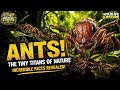 What If Ants Were Human Size? 😳