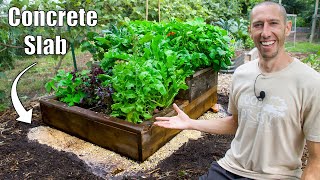 how to go from concrete slab to productive raised bed garden in just a few months!