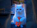 "Broken Bicycle, Broken Heart 💔🐱" #ytshorts