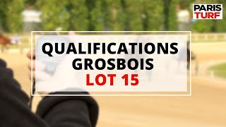 Qualifications Grosbois – Trot attelé – Lot 15 du 10/06/2022