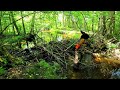 Ooo Beeeaverrrs We Re Back Beaver Dam Removal In Gator Creek S6 EP 1 Ooo Beeeaverrrs We Re Back Beaver Dam Removal In Gator Creek S6 EP 1