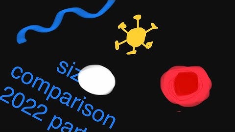 large size comparison 2022 part 3