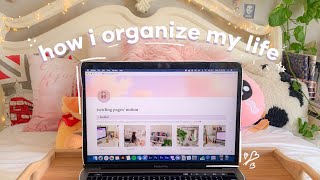 how i organize my life (notion tour + free template)