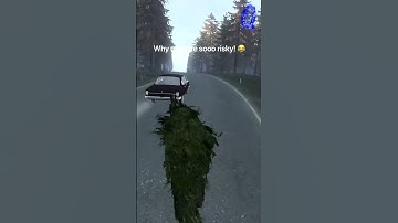 Cars Are Risky | DayZ Funny Moment