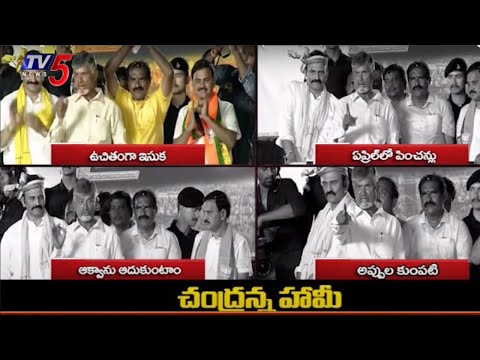 చంద్రన్న హామీ | TDP Chief Nara Chandrababu Naidu Promises | AP Elections | TV5 News - TV5NEWS