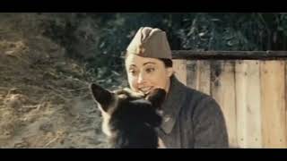 О тех, кого помню и люблю (1973) - Это Миг, мой пёс!