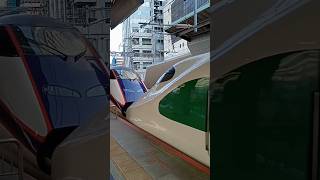 E2系j66編成　東京駅到着