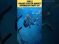 Crazy Facts about Animals Part 13 #shorts #animals #facts