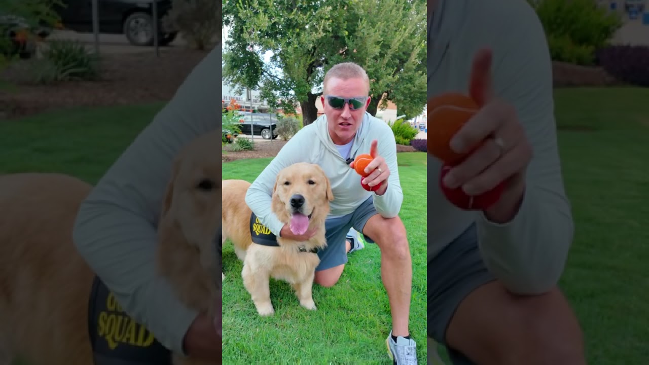 Peter's Golden Picks | Week 2