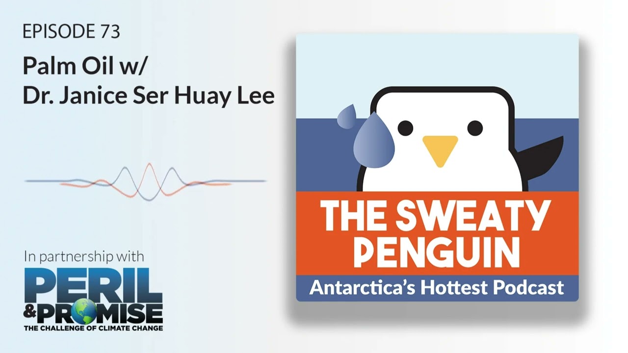 Why Is Palm Oil So Controversial?