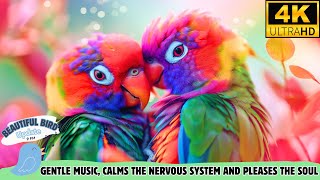 RESTORATION OF THE NERVOUS SYSTEM  Gentle music, calms the nervous system and pleases the soul