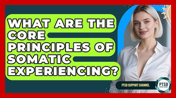 What Are The Core Principles Of Somatic Experiencing? - PTSD Support Channel