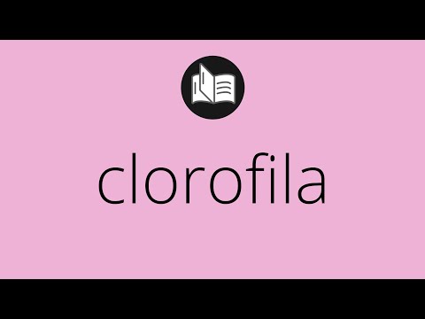 Que significa CLOROFILA • clorofila SIGNIFICADO • clorofila DEFINICIÓN • Que es CLOROFILA