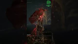 Best Str Acr Paladin Build | Elden Ring Paladin Build | Elden Ring Build