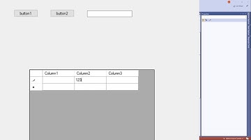Cap2 C# Visual Studio (DataGridView)