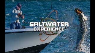 MONSTER TARPON Bridge Fishing | Saltwater Experience