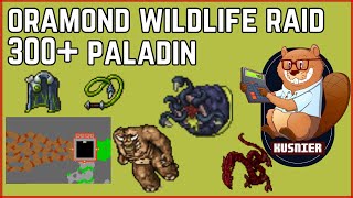 Oramond Wildlife Raid | 300+ Paladin | Tibia