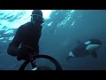 GoPro Awards: Freediving with Wild Orcas