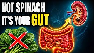Kidney Stones Start in Your Gut (Here's the Fix)
