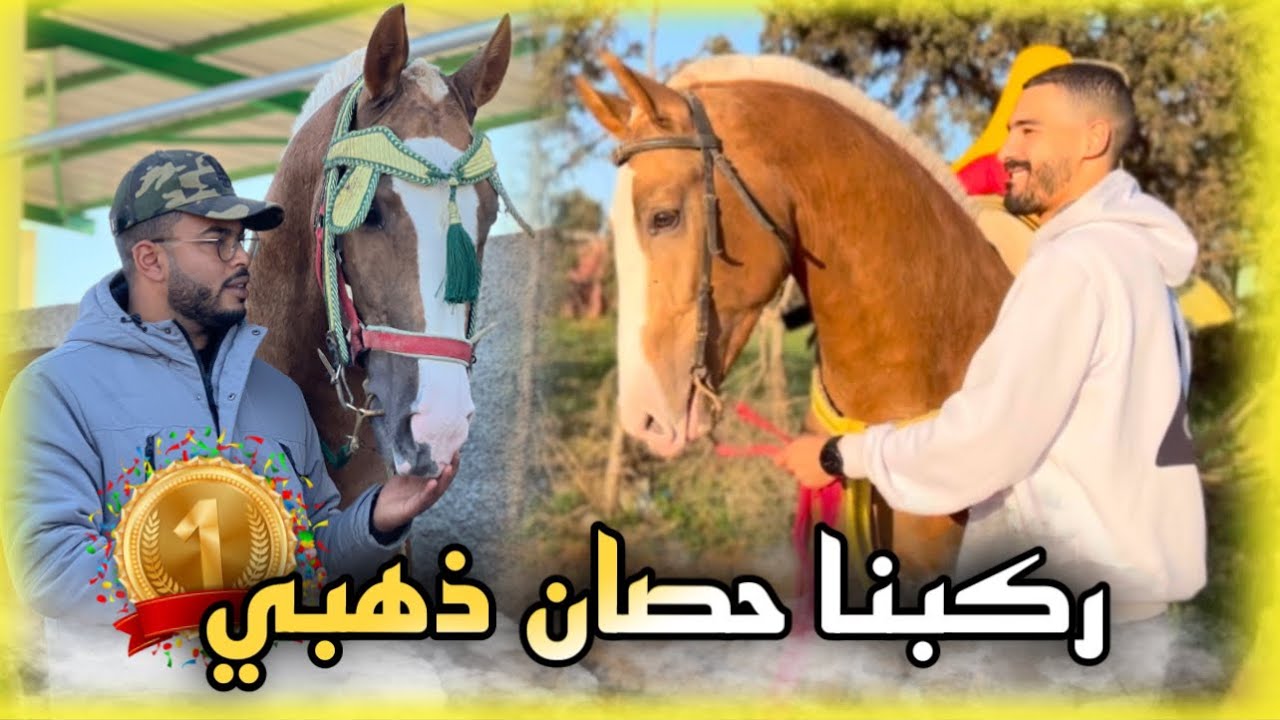 أجمل الحصان الذهبي ماشاء الله على جمال 😍 وركبناه مع الخيل سمعوا أشنوا قال عليه بدريس …