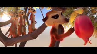 Anima TV - Elang Botak VS Meerkat