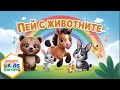 Пей с животните Весела компилация с детски песни 