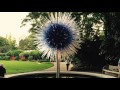 Garden Ny Nights Botanical Chihuly