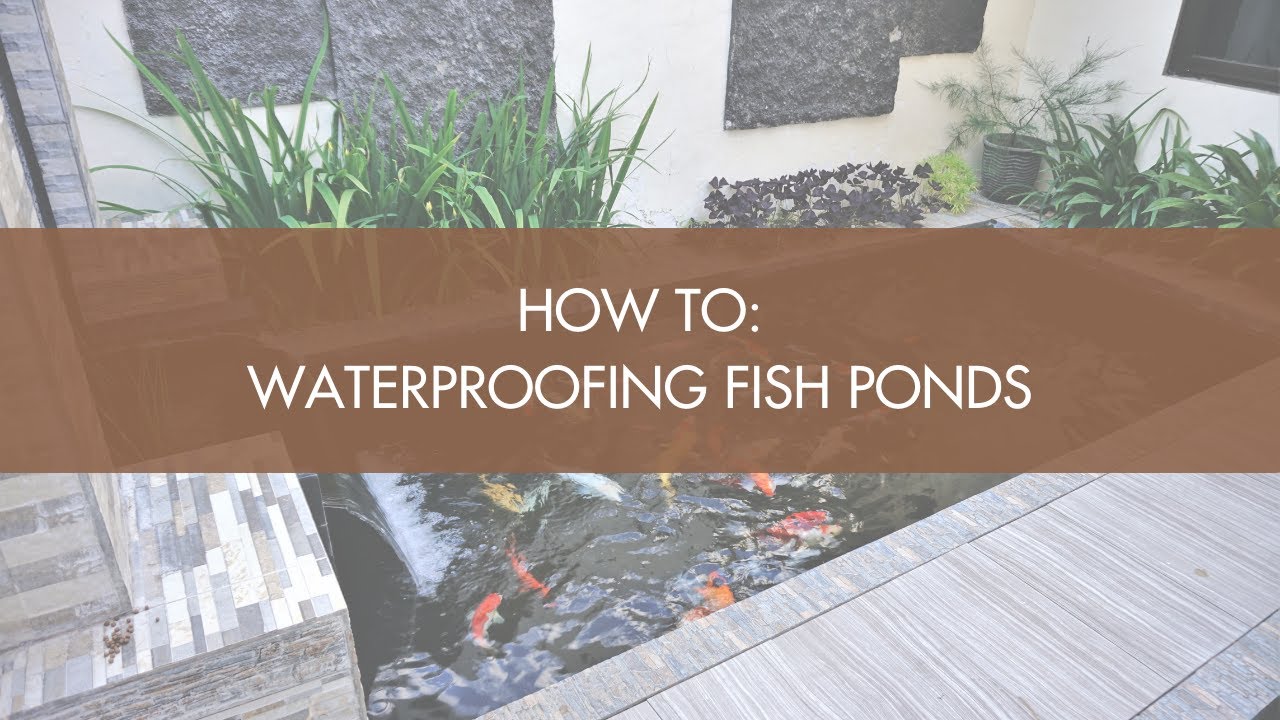 How To Waterproofing Fish Ponds YouTube