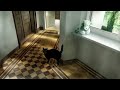 Viennese hallway, videocapture + Kaiber
