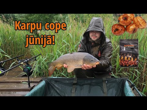 Video: Kāda ir marķētāja definīcija?