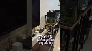 Introducing Show Mode, A Unique And Relaxing Experience Powered By Alexa Via Home Istant