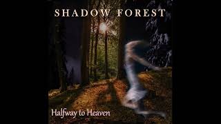 Shadow Forest  - \