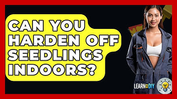 Can You Harden Off Seedlings Indoors? - LearnToDIY360.com