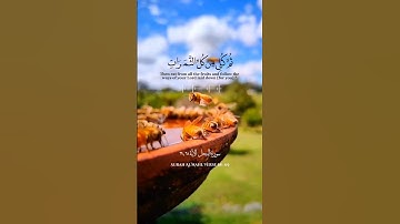 وَأَوْحَى رَبُّكَ إِلَى النَّحْل يوسف العيدروس سورة النحل الآية Yousuf Al Aidarous #يوسف_العيدروس
