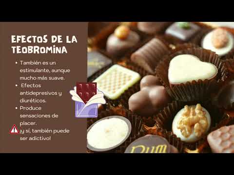 Video: ¿El chocolate tiene alcaloides?