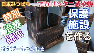 日本みつばち アカリンダニ感染蜂 特別治療研究保護施設を作る