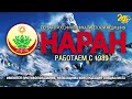 Зональный этап Созвездие-Йолдызлык Пестрецы 03.09.20