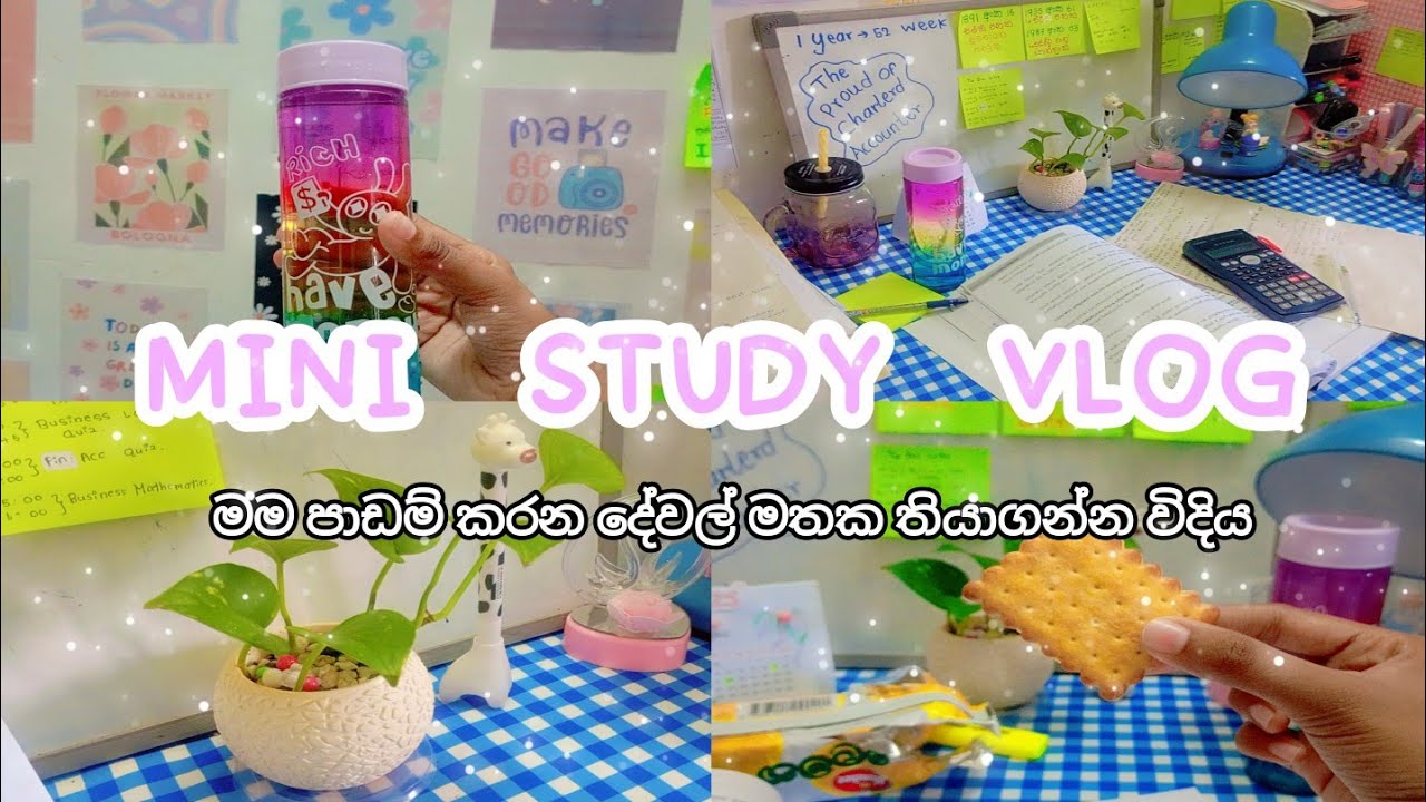 ගොඩක් කල් මතක හිටින්න මම පාඩම් කරන විදිය 📖️🖇️🌷 Mini Study Vlog Sinhala 🎀✨️ #study #studytips