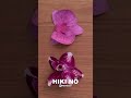 Kaika (Blooming)